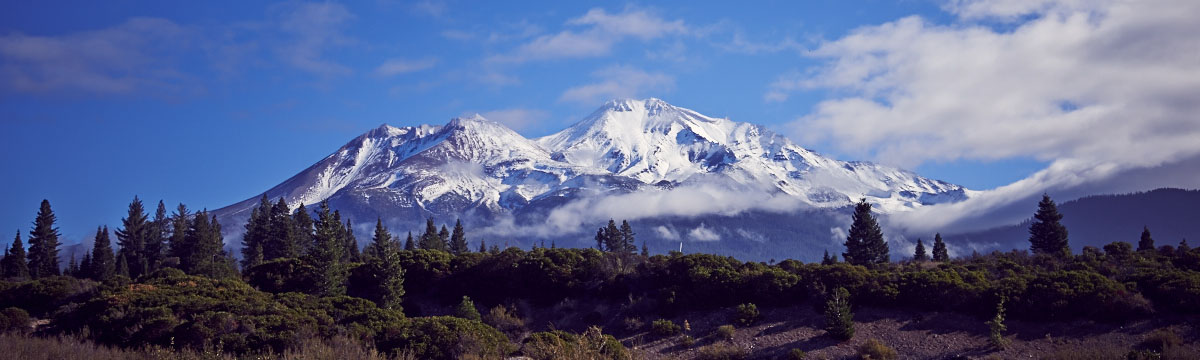 Mt Shasta